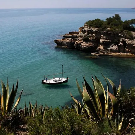 Paradise * Calafat